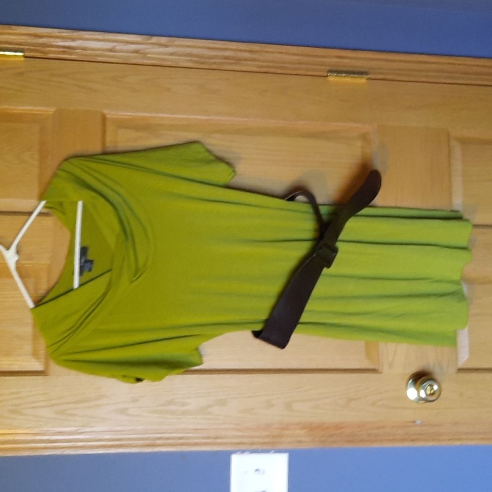 Belted Dress
